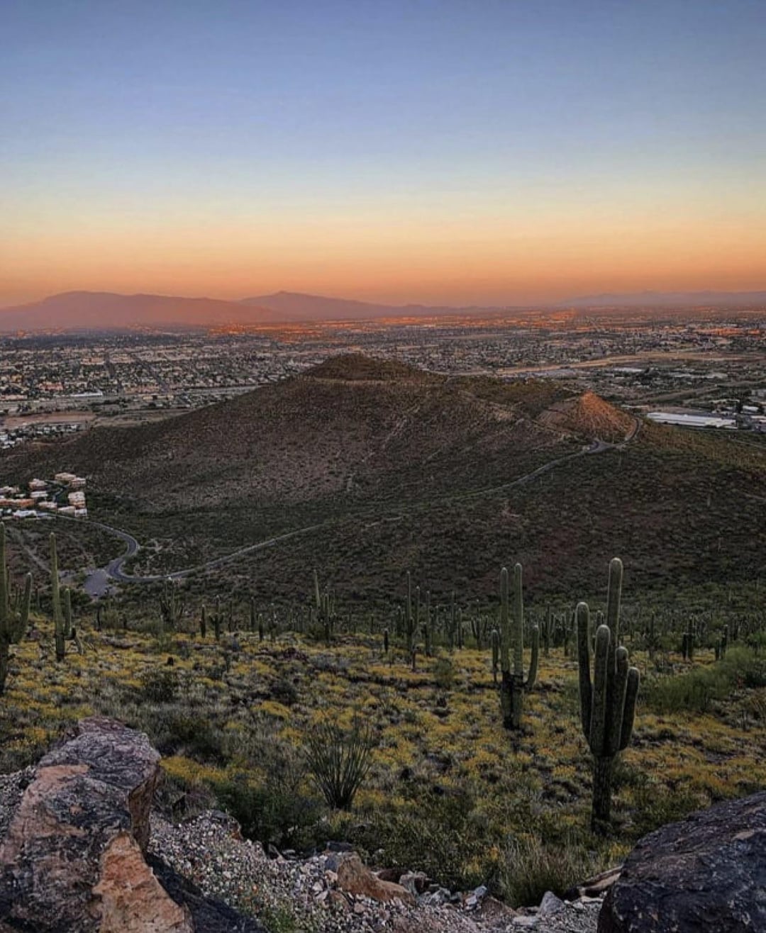 Tumamoc Hill Tucson: A Hiker's Paradise in the Desert